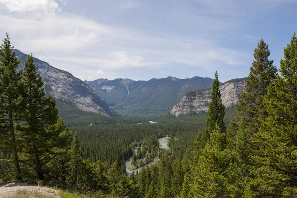 Paysage Montagneux Rivières Forêt Dans Une Vallée Montagne Paysage Naturel — Photo