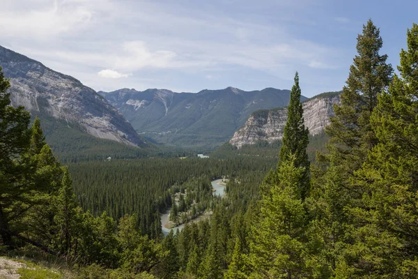Paysage Vallée Rivière Bow Tourisme Dans Parc National Canada Banff — Photo