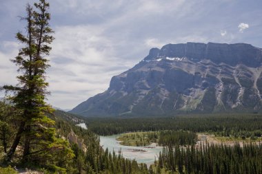 Kanada manzarası - Banff Ulusal Parkı, Alberta - dağlara yaz yolculuğu, güzel mavi Bow nehri ve kozalaklı orman. Bow River Vadisi - berrak mavi su, çam ormanı adası, güzel Rundle Dağları