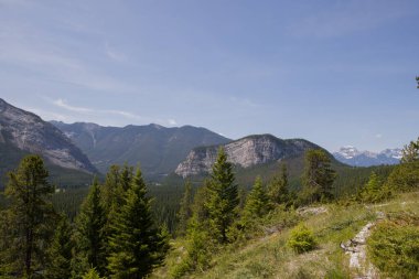 Kanada Kayalık Dağları 'ndaki dağ yolu, Banff Ulusal Parkı. Otoyolun yakınındaki Şelale Dağı