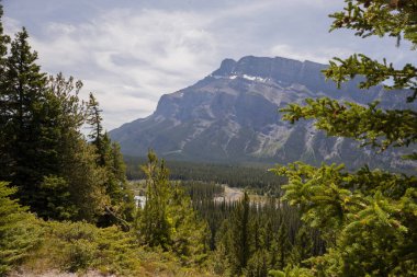 Kanada manzarası - Banff Ulusal Parkı, Alberta - dağlara yaz yolculuğu, güzel mavi Bow nehri ve kozalaklı orman. Bow River Vadisi - berrak mavi su, çam ormanı adası, güzel Rundle Dağları