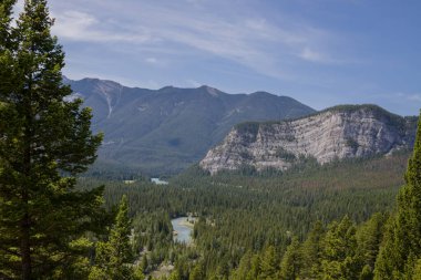 Kanada manzarası - Banff Ulusal Parkı, Alberta - dağlara yaz yolculuğu, güzel mavi Bow nehri ve kozalaklı orman. Bow River Vadisi - berrak mavi su, çam ormanı adası, güzel Rundle Dağları