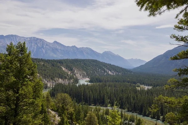 Канадський Пейзаж Банф Національний Парк Альберта Літо Подорожує Гори Красиву — стокове фото