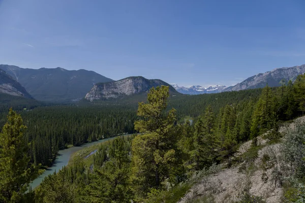 Canada landscape - Banff National Park, Alberta - summer travel to mountains, beautiful blue Bow river and coniferous forest. Bow River Valley - clear blue water, pine forest island, beautiful Rundle Mountains