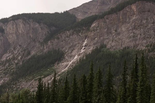 캐나다의 앨버타주 오솔길 아름다운 — 스톡 사진