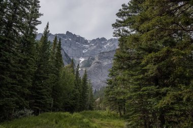 Dağ manzarası. Yaz zamanı. Banff, Alberta, Kanada 'daki Rocky Dağları' nda yürüyüş parkurunda.