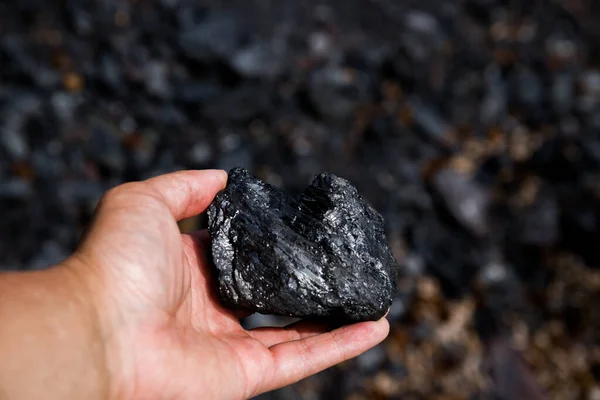 coal miner in the  hands of coal background. Picture idea about coal mining or energy source, environment protection. Industrial coals. Volcanic rock.