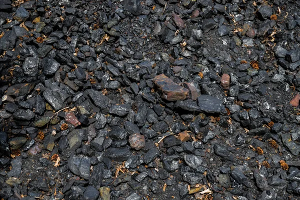 Pile of black coal on the ground as a background. Texture. Close-up, selective focus.