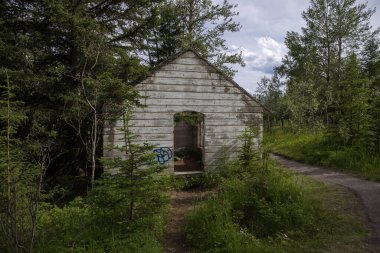 Ormanın ortasında terk edilmiş eski bir binanın kalıntıları.