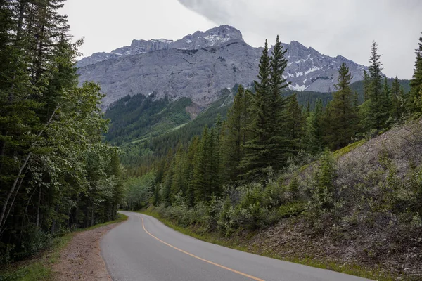 Jalan Hutan Musim Semi Pegunungan Rocky Sempurna Aspal Jalan Gunung — Stok Foto
