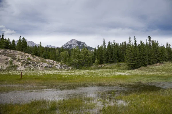 stock image Landscape in the Rocky Mountains. amazing nature view - sharp stone mountain peaks, coniferous forest. Travel and tourism concept image, selective focus.