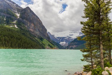 Louise Gölü, Banff Ulusal Parkı, Alberta, Kanada. Rocky Dağı Göl Manzarası İnsansız Manzara - Orman, Manzaralı Mavi Göl.