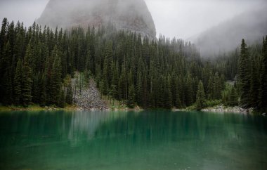  Hayaletli bir dağ ormanı. Buzul gölünün sakin meditasyon sisli manzarası. Sivri uçlu köknar ağacı tepeleri. Sakin alp zümrüt gölü üzerindeki köknar ağacı siluetinin yansıması. Louise Gölü, Banff, Kanada