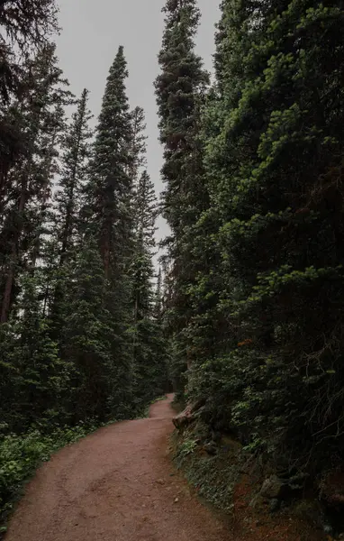 Trilha Caminhadas Floresta Montanhas Rochosas Com Árvores Penhascos Arenito Lake — Fotografia de Stock