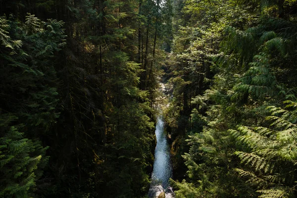 峡谷被高山中高大的树木环绕的峡谷自然背景 旅行和旅游概念形象 选择性重点 — 图库照片