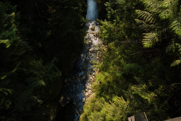 Горный Поток Протекающий Через Лес Ущелье Окруженное Высокими Деревьями Течет — стоковое фото