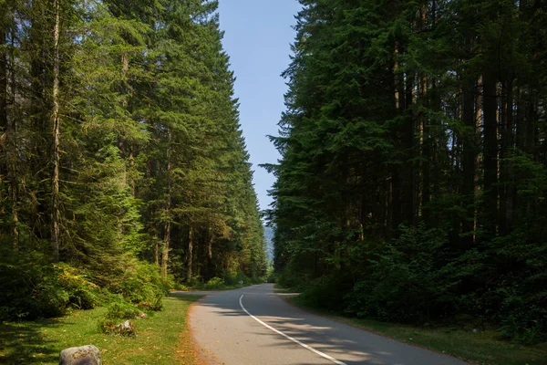 Empty Road Coniferous Forest Sunny Summer Day Hiking Trail Rocky — Stock Photo, Image