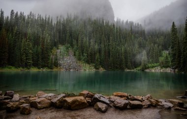 Yağmurdan sonra dağlarda sis - Alberta 'daki güzel Rocky Dağları. Turizm - yürüyüş, dinlenme ve iyileşme. Kozalaklı orman
