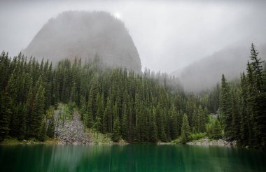 Kanada Rocky Dağları 'nda, Alberta' da, Kanada turizminde çok güzel bir zümrüt yeşili dağ gölü. Yağmurlu bir gün, sis, ağaçların arasından geçen bulutlar. Temiz sakin su, ıslak hava. Ayna Gölü 'nün taşlı kıyıları.
