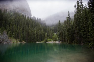 Kanada Rocky Dağları 'nda, Alberta' da, Kanada turizminde çok güzel bir zümrüt yeşili dağ gölü. Yağmurlu bir gün, sis, ağaçların arasından geçen bulutlar. Temiz sakin su, ıslak hava. Ayna Gölü 'nün taşlı kıyıları.