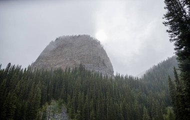Kanada Rocky Dağları 'nda, Alberta' da, Kanada turizminde çok güzel bir zümrüt yeşili dağ gölü. Yağmurlu bir gün, sis, ağaçların arasından geçen bulutlar. Temiz sakin su, ıslak hava. Ayna Gölü 'nün taşlı kıyıları.
