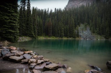 Güzel dağ gölü kristal berrak su ile çevrili kozalaklı orman. Banff, Alberta, Kanada