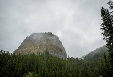 Kanada Rocky Dağları 'nda, Alberta' da, Kanada turizminde çok güzel bir zümrüt yeşili dağ gölü. Yağmurlu bir gün, sis, ağaçların arasından geçen bulutlar. Temiz sakin su, ıslak hava. Ayna Gölü 'nün taşlı kıyıları.