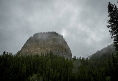 Kanada Rocky Dağları 'nda, Alberta' da, Kanada turizminde çok güzel bir zümrüt yeşili dağ gölü. Yağmurlu bir gün, sis, ağaçların arasından geçen bulutlar. Temiz sakin su, ıslak hava. Ayna Gölü 'nün taşlı kıyıları.