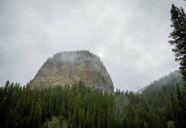 Kanada Rocky Dağları 'nda, Alberta' da, Kanada turizminde çok güzel bir zümrüt yeşili dağ gölü. Yağmurlu bir gün, sis, ağaçların arasından geçen bulutlar. Temiz sakin su, ıslak hava. Ayna Gölü 'nün taşlı kıyıları.