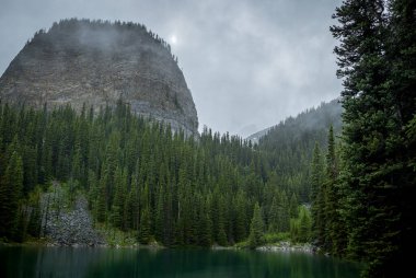 Kanada Rocky Dağları 'nda, Alberta' da, Kanada turizminde çok güzel bir zümrüt yeşili dağ gölü. Yağmurlu bir gün, sis, ağaçların arasından geçen bulutlar. Temiz sakin su, ıslak hava. Ayna Gölü 'nün taşlı kıyıları.