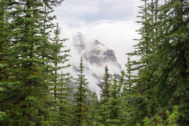 Rocky Dağları 'nın karla kaplı zirveleri, yağmur üstüne bulutlar ve kozalaklı ormanlar. Doğal dağ manzarası - Banff Ulusal Parkı, Alberta, Kanada 'da aktif turizm