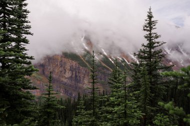 Yağmurdan sonra sisli dağlar - karlı zirveler, kayalar, ıslak yeşil çam ağaçları ve Banff Ulusal Parkı 'nda bulutlu gökyüzü, Alberta, Kanada Aktif Turizmi - orman yolunda yürüyüş