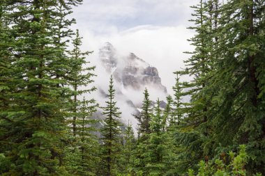 Rocky Dağları 'nın karla kaplı zirveleri, yağmur üstüne bulutlar ve kozalaklı ormanlar. Doğal dağ manzarası - Banff Ulusal Parkı, Alberta, Kanada 'da aktif turizm