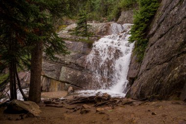 Kozalaklı bir ormanın ortasında yüksek bir dağ şelalesi ve Rocky Dağları 'nın yamaçları. Turizm konsepti, ekolojik dinlenme, sürdürülebilir yaşam. Alberta, Kanada