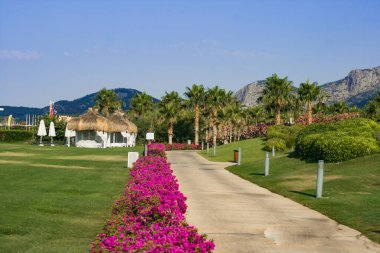 Beyaz perdeleri ve sazdan çatısı olan güzel bir çardak çiçeklerle, yeşil çimlerle ve palmiyelerle dolu renkli bir bahçede duruyor. konsept - dinlenme, rahatlama, geri çekilme. Tanınmayan bir yer
