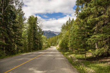 Sabahleyin Kanada, Alberta 'daki Banff Ulusal Parkı' nda orman boyunca uzanan boş viraj yolu. En güzel bakış açılarından biri. Ormanda manzaralı köy yolu.