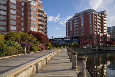 Victoria 'nın İç Liman boyunca uzanan şirin yaz caddeleri turistler ve yerliler için favori bir yürüyüş yeridir. Victoria, British Columbia, Kanada' daki Pasifik Sahil evleri