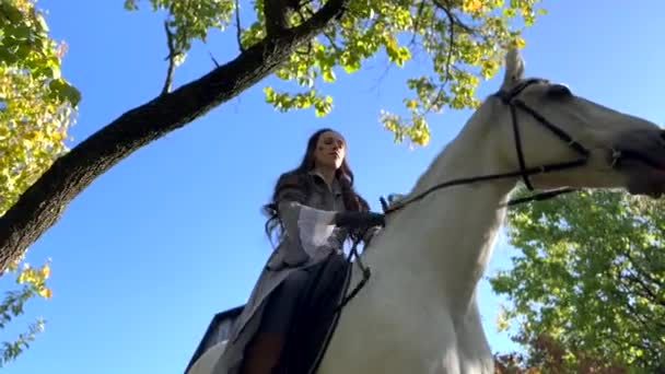 Młoda Kobieta Obraz Starożytnego Jeźdźca Wojownik Siedzi Białym Koniu Obejmuje — Wideo stockowe
