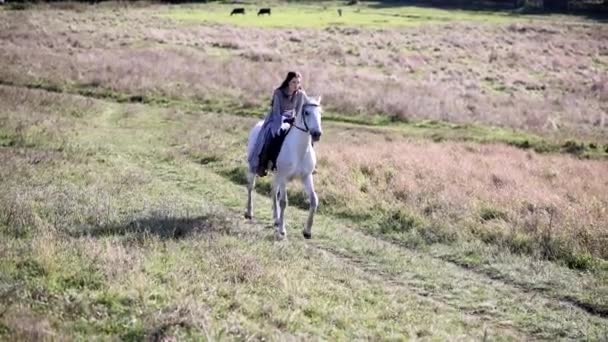 Młoda Kobieta Obraz Starożytnego Wojownika Jedzie Białym Koniu Ścieżką Przez — Wideo stockowe