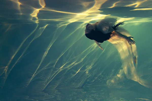 Підводний Знімок Красивої Жінки Білому Прозорій Сукні Плаває Воді Через — стокове фото