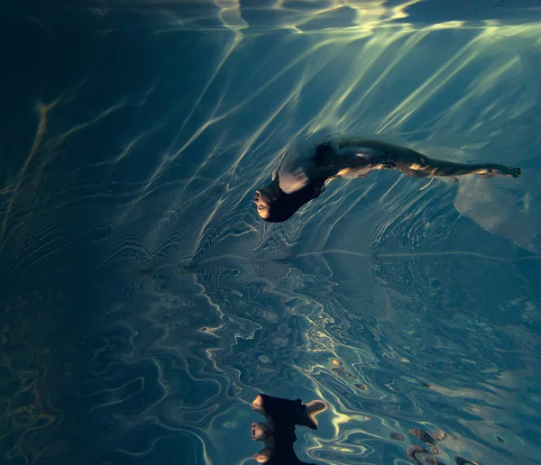 Підводний Знімок Красивої Жінки Білому Прозорій Сукні Плаває Воді Через — стокове фото