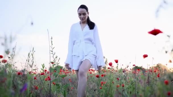 Junge Frau Spaziert Zwischen Blühenden Mohnwiesen Vor Himmelshintergrund Und Genießt — Stockvideo