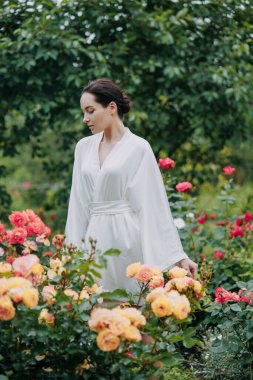 Kimono elbiseli genç esmer kadın bahçede güllerin arasında yürüyor ve çiçeklerin tadını çıkarıyor..