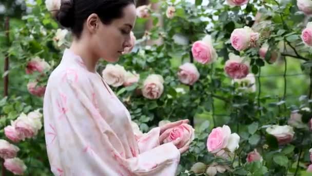 ピンクのエデンの花に触れて楽しむ日本の着物姿の若いブルネットの女性が庭でバラ — ストック動画