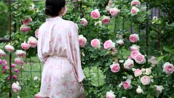 Japon Kimono Elbiseli Esmer Kadın Bahçede Pembe Cennet Çiçeklerine Dokunuyor — Stok video