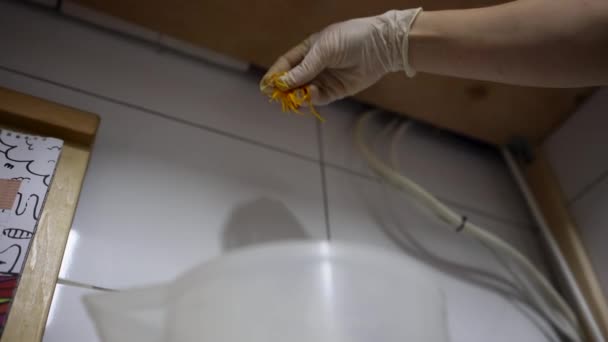 食品工場の労働者は アイスクリームの準備のための混合バケツにオレンジの皮を紡ぐ ハンドメイド製アイスクリーム ボトムビュー — ストック動画