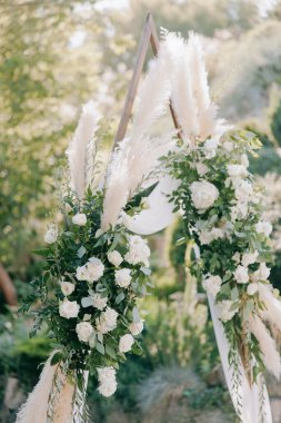 Düğün kemeri güzel bahçede taze beyaz güller süsledi. Yakın plan. Düğün, düğün, düğün, kutlama, etkinlik, romantik tarz. Taşra düğünü.