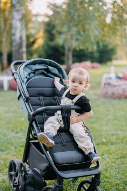 Parkta yürürken bebek arabasında oturan küçük çocuğa yakından bakın..