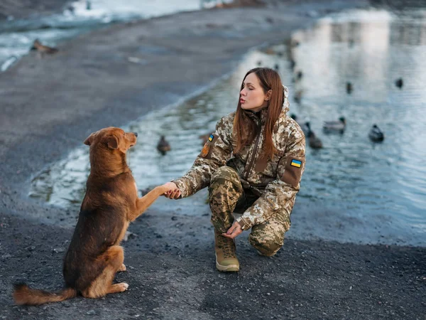 Ukrainian woman soldier resting in park with dog in vacation. Women and war. War in Ukraine. Russian military invasion. Translation from Ukrainian: Armed Forces of Ukraine, surname.