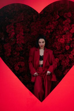 Kırmızı pantolonlu ve ceketli güzel bir kız kırmızı arka planda poz veriyor. Kalp şeklinde kırmızı güllerle süslenmiş. Sevgililer Günü. Tatil partisi, doğum günü.